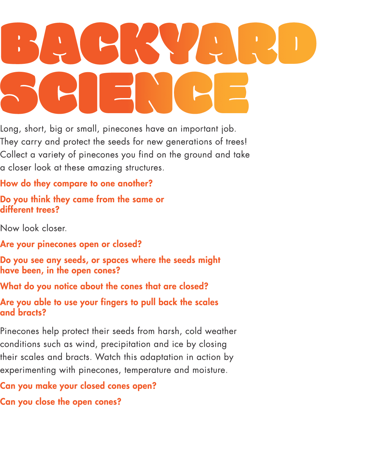 Backyard Science Long, short, big or small, pinecones have an important job  They carry and protect the seeds for new   