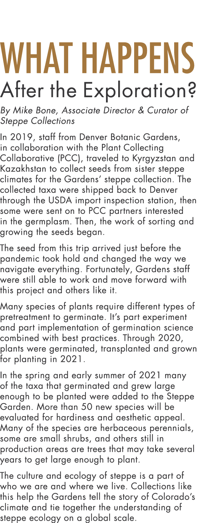 What Happens After the Exploration  By Mike Bone, Associate Director & Curator of Steppe Collections In 2019, staff f   