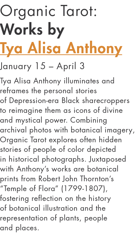 Organic Tarot: Works by Tya Alisa Anthony January 15   April 3 Tya Alisa Anthony illuminates and reframes the persona   