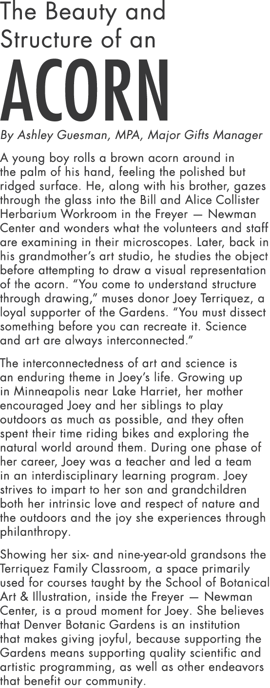 The Beauty and Structure of an Acorn By Ashley Guesman, MPA, Major Gifts Manager A young boy rolls a brown acorn arou...