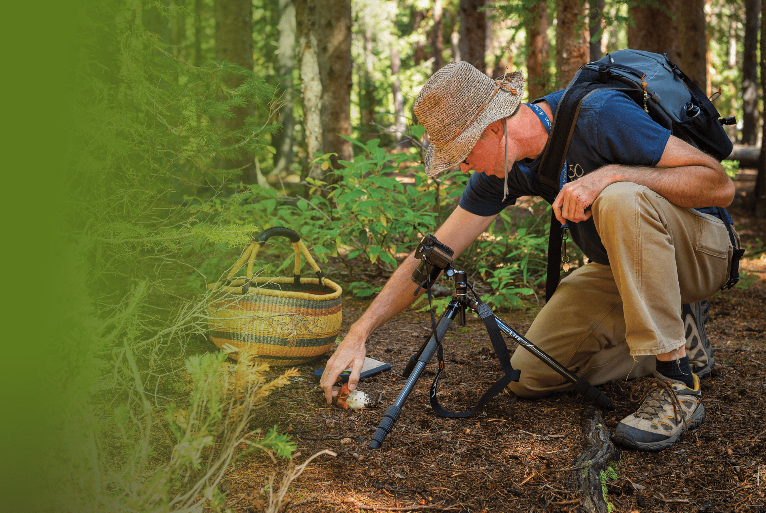 Mycology research near the Hall Valley Campground, with Andrew Wilson collecting.