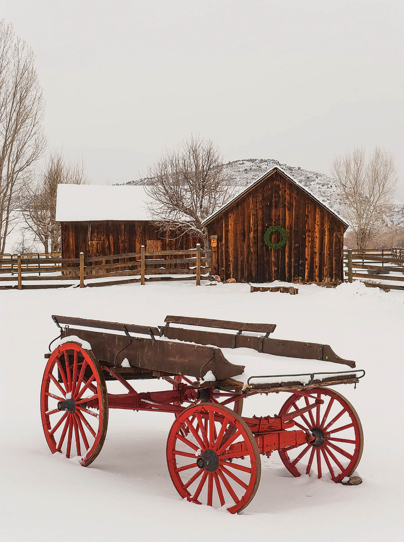Denver Botanic Gardens at Chatfield