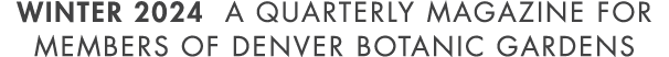 WINTER 2024 A Quarterly Magazine for members of denver botanic gardens