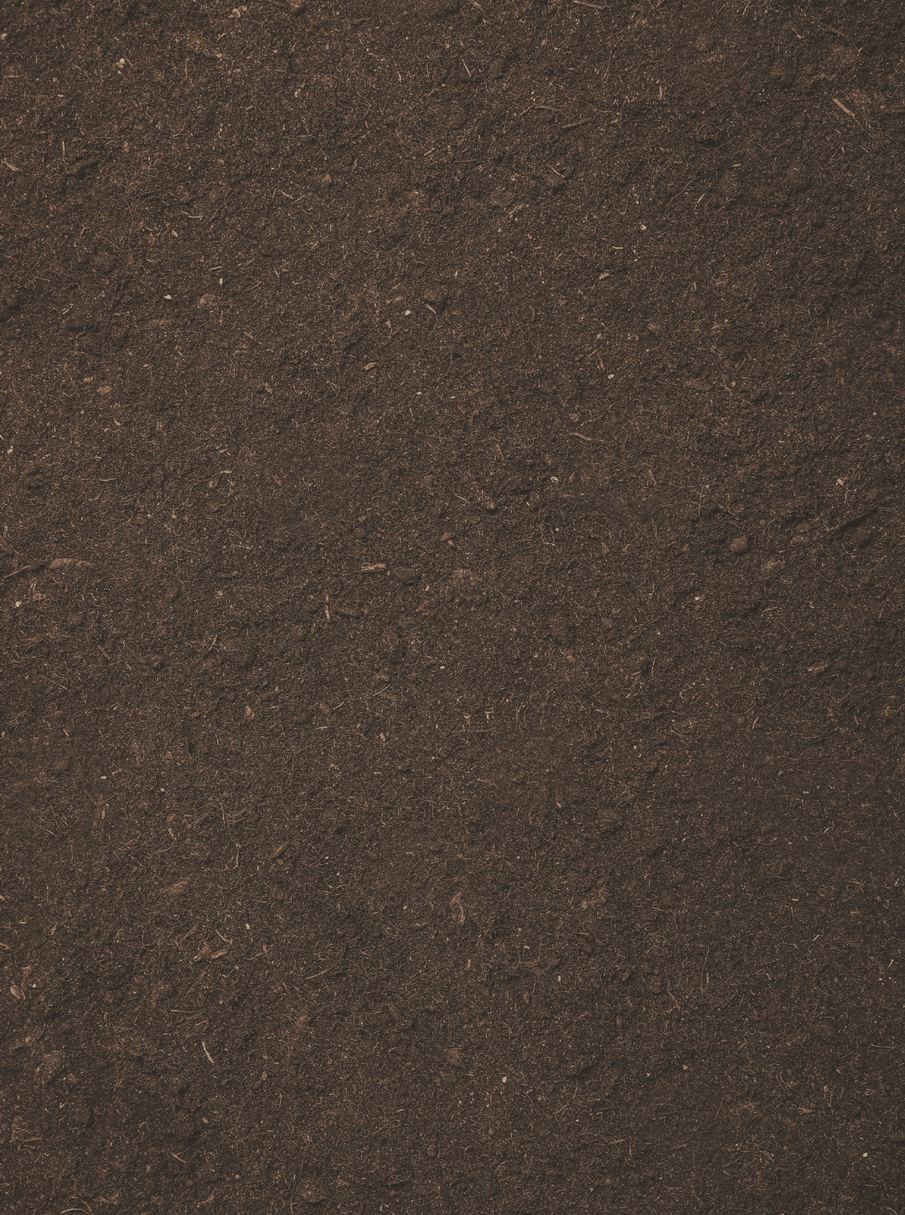 Textured fertile soil as background. Gardening season