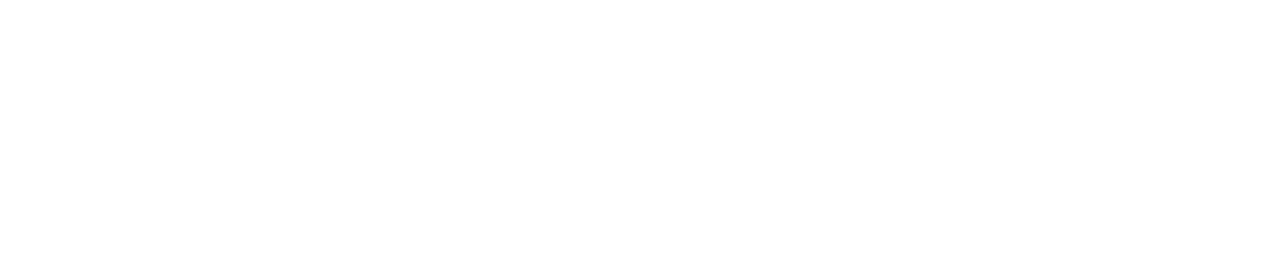 Aechmea fasciata By Nicholas Giaquinto, Horticulture Coordinator (Conservatory)