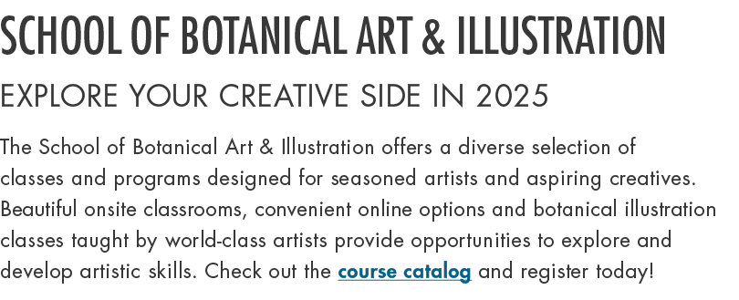 SCHOOL OF BOTANICAL ART & ILLUSTRATION Explore Your Creative Side in 2025 The School of Botanical Art & Illustration ...