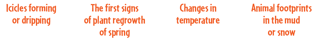 Animal footprints in the mud or snow,Changes in temperature,The first signs of plant regrowth of spring ,Icicles form...