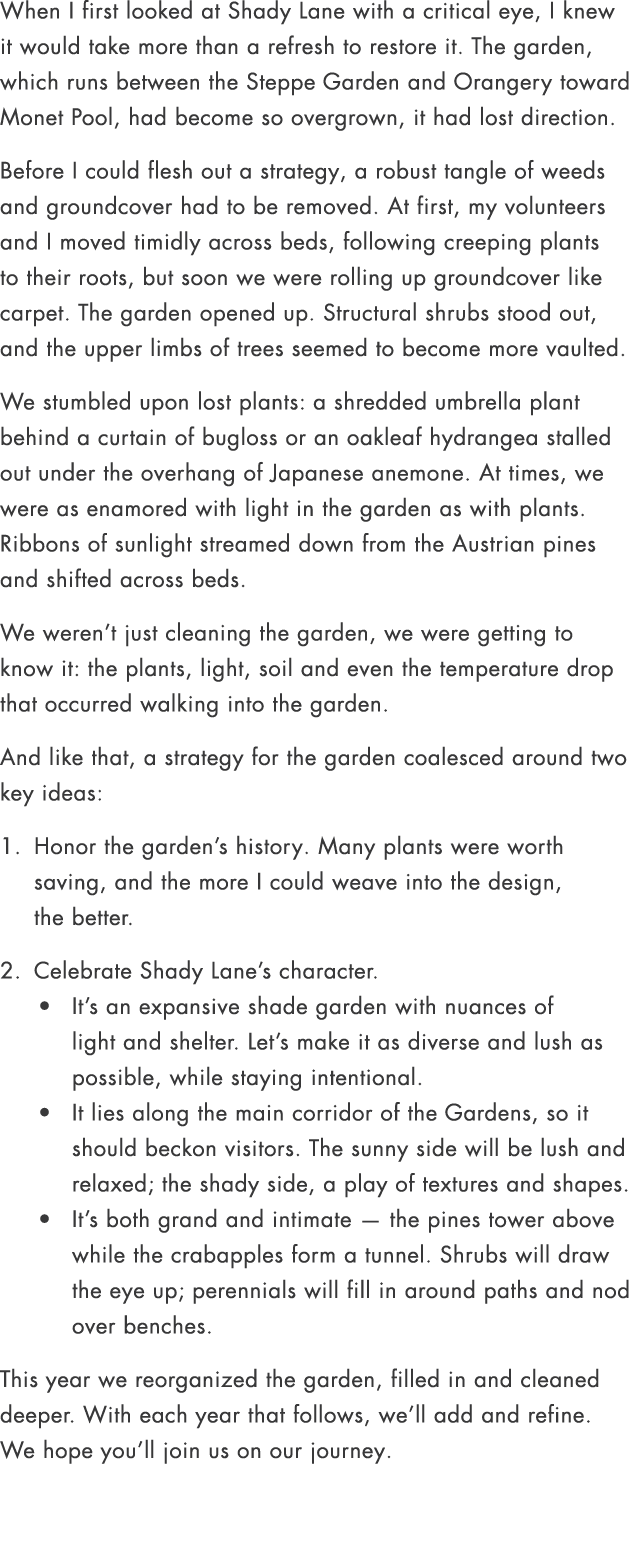 When I first looked at Shady Lane with a critical eye, I knew it would take more than a refresh to restore it. The ga...