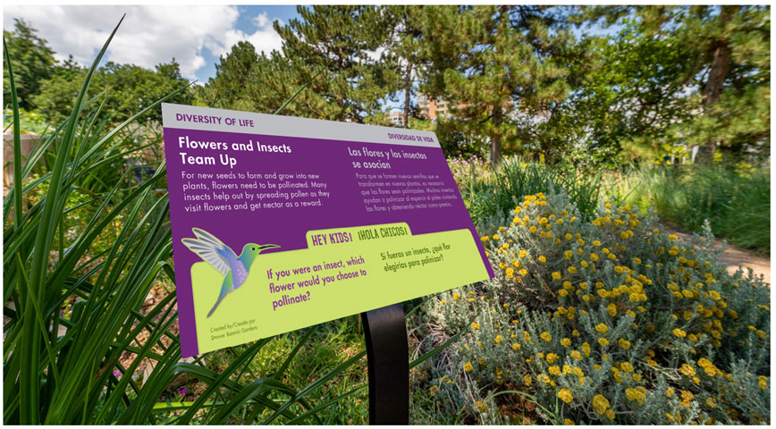 Denver Botanic Gardens - Diversity allows both plants and people to  flourish. We are a garden for all and during #PrideMonth, we continue to  celebrate diversity and inclusion among our visitors, staff