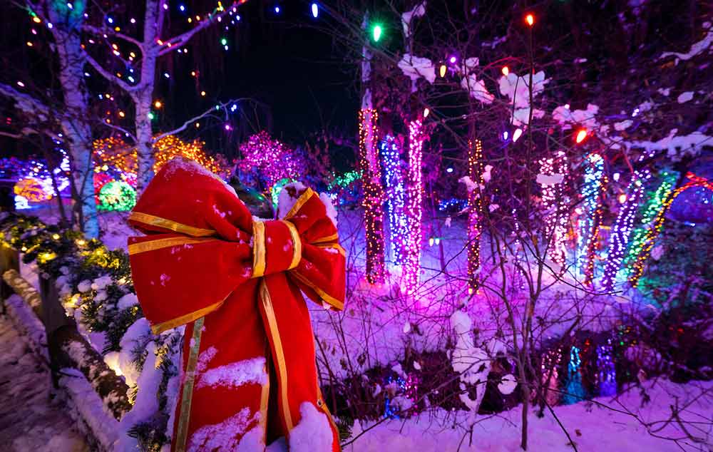 Blossoms of Light | Denver Botanic Gardens