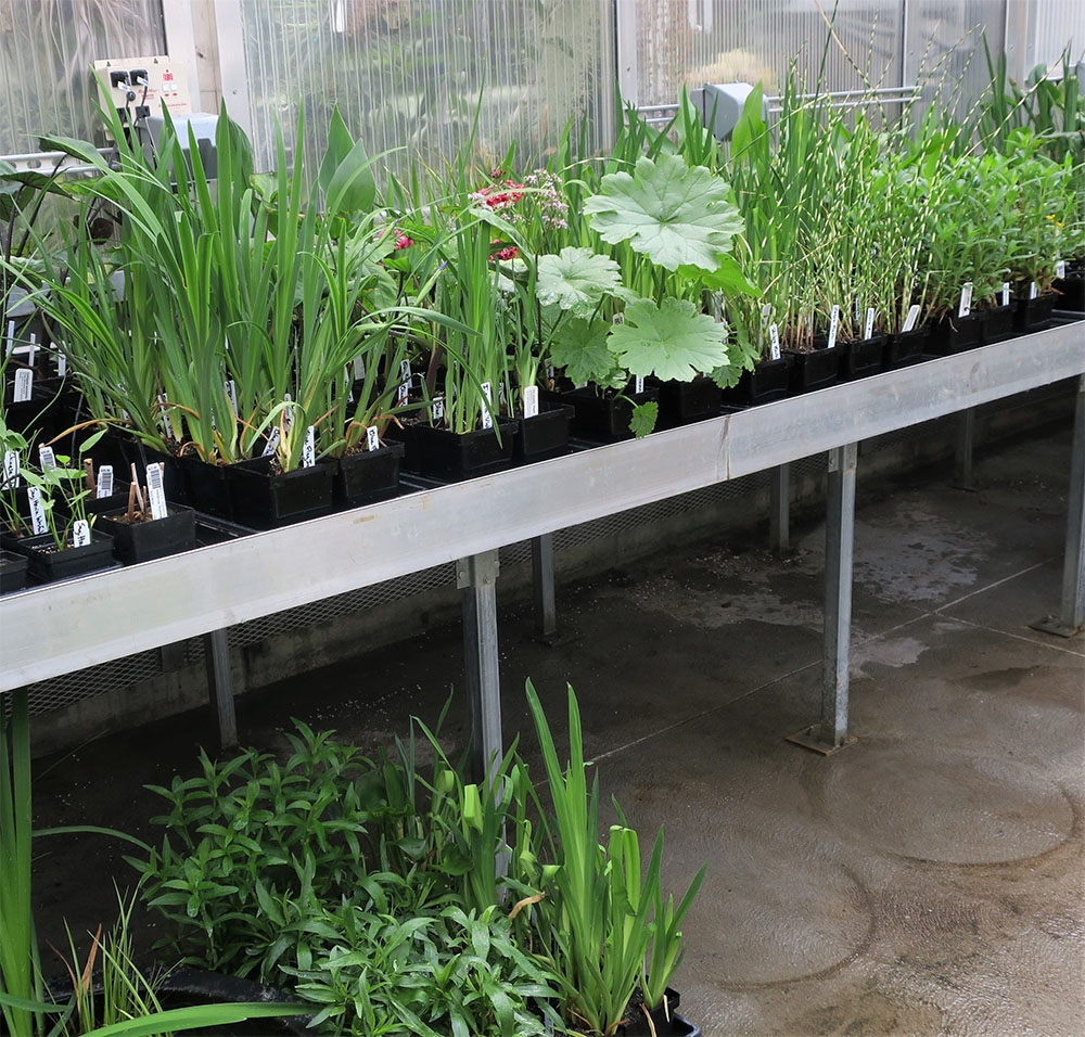 Aquatic Collection Greenhouse