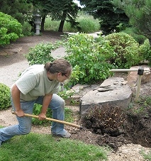 Horticulture Internships at the Gardens | Denver Botanic Gardens