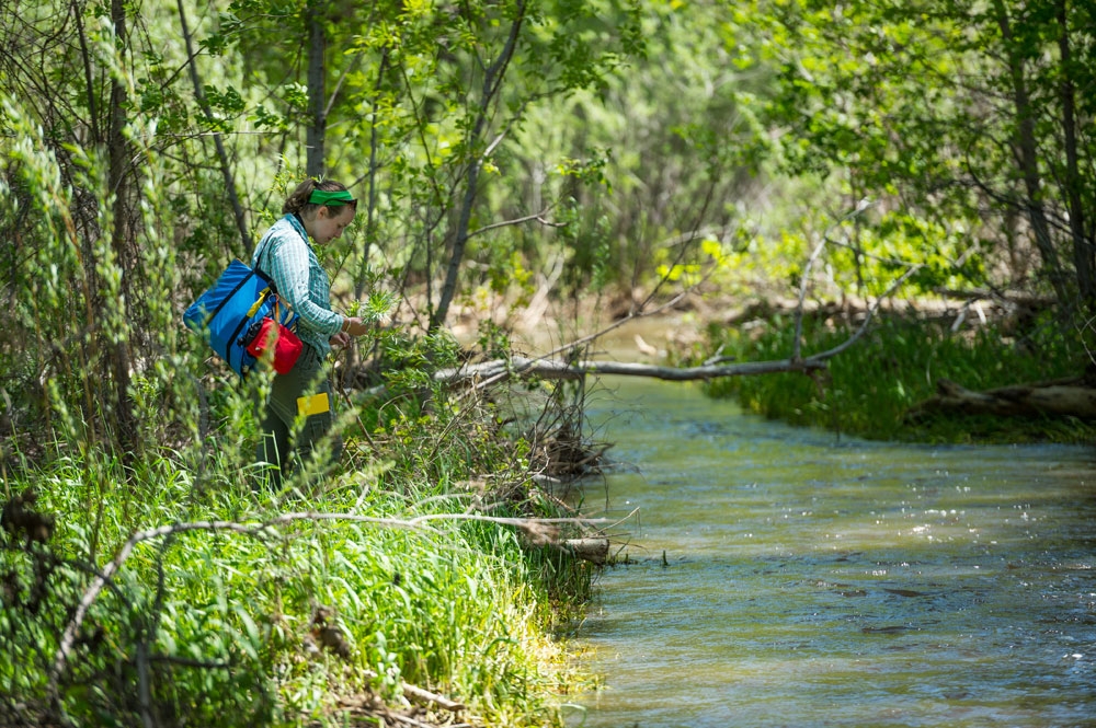 Research & Conservation staff working along Deer Creek