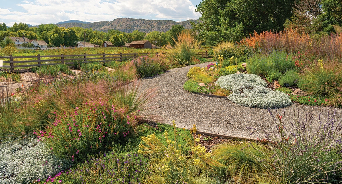 The Gardens’ Urban Food Initiatives | Denver Botanic Gardens