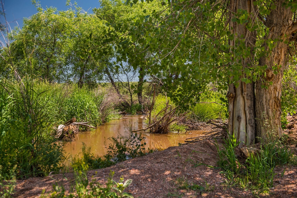 Hildebrand Ranch: History & Restoration | Denver Botanic Gardens