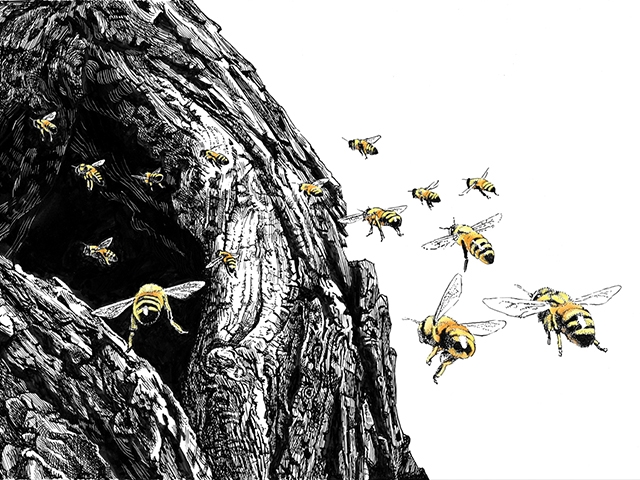 Illustration of bees