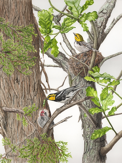 Illustration of birds in a tree