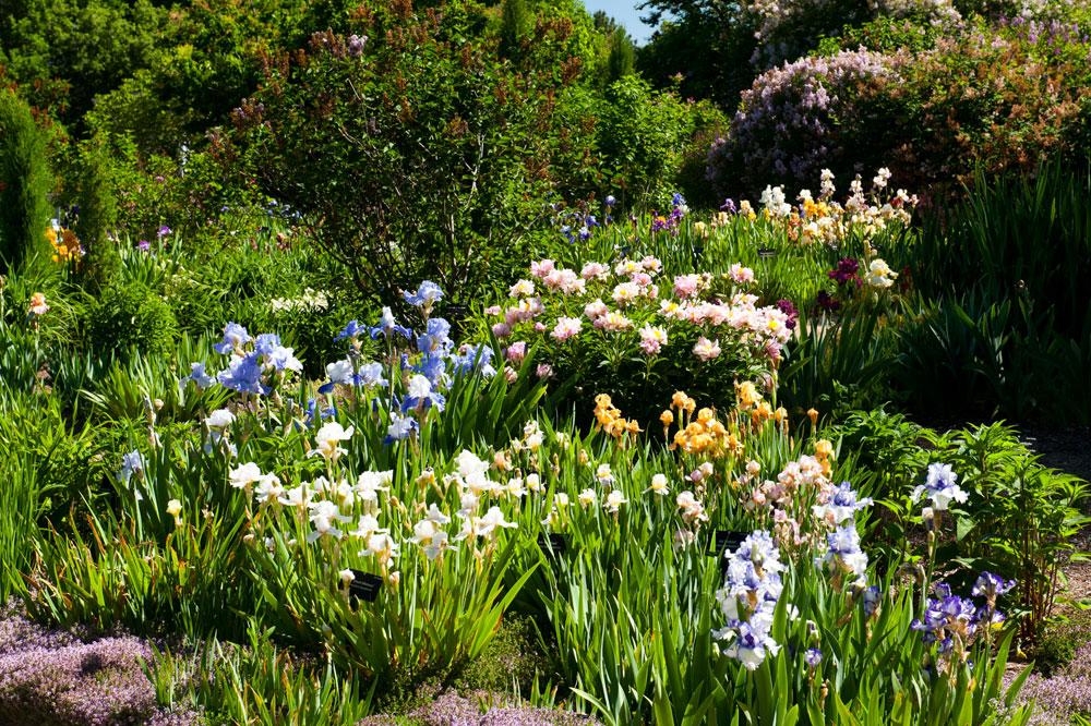 York Street Gardens | Denver Botanic Gardens