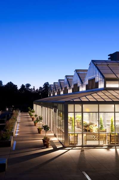 The orangery at night
