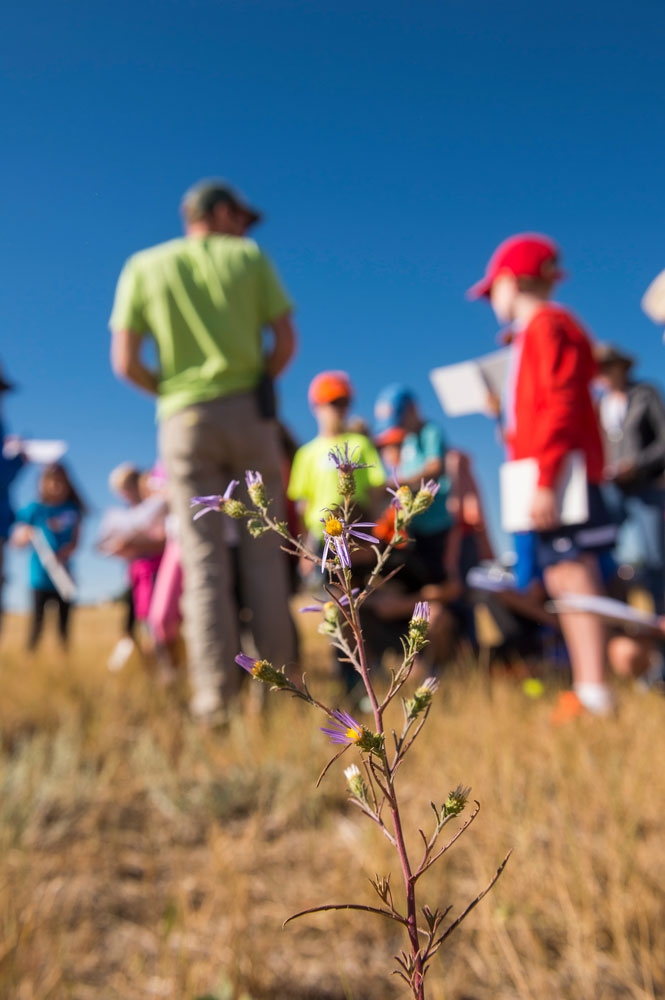 Plains Conservation Center | Denver Botanic Gardens