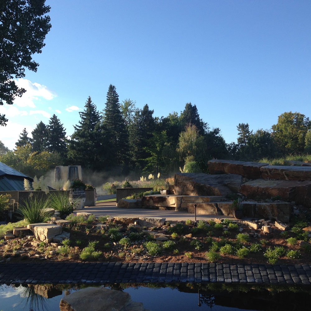 The Patagonian Section of the Steppe Garden