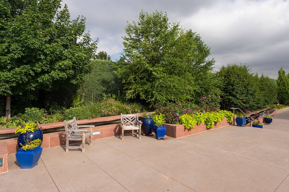 Chairs and plants lining a wall in the garden