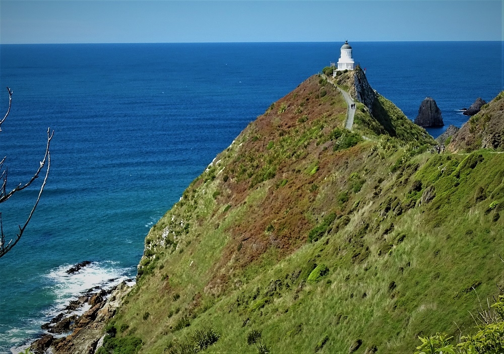 New Zealand lighthouse on a cliff