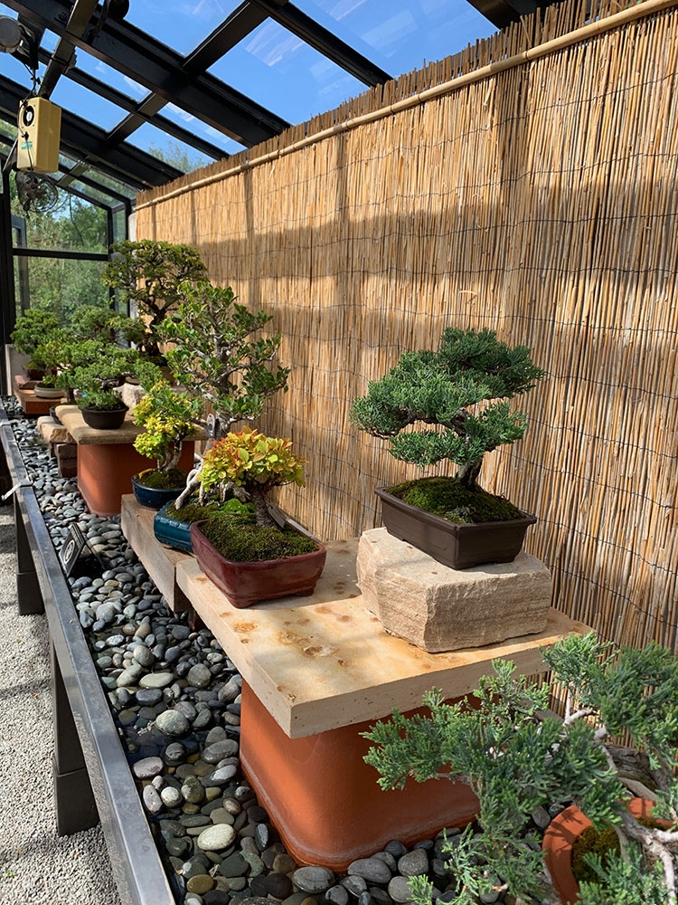 bonsai-pavilion_gallery4.jpg