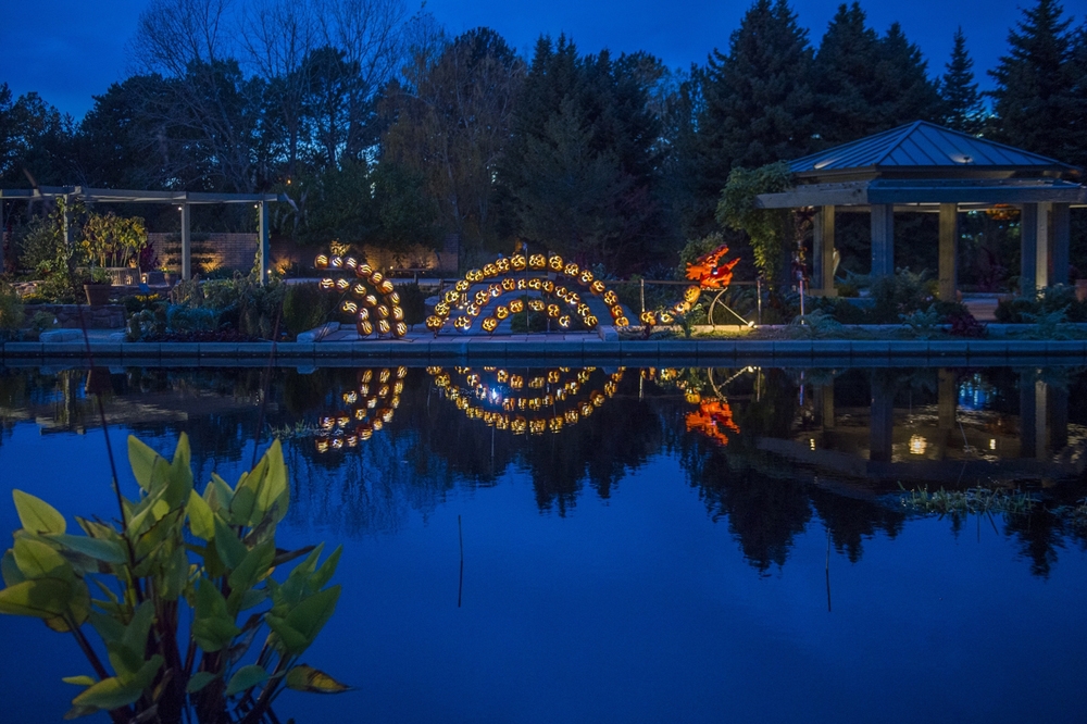 Lights at glow at the gardens