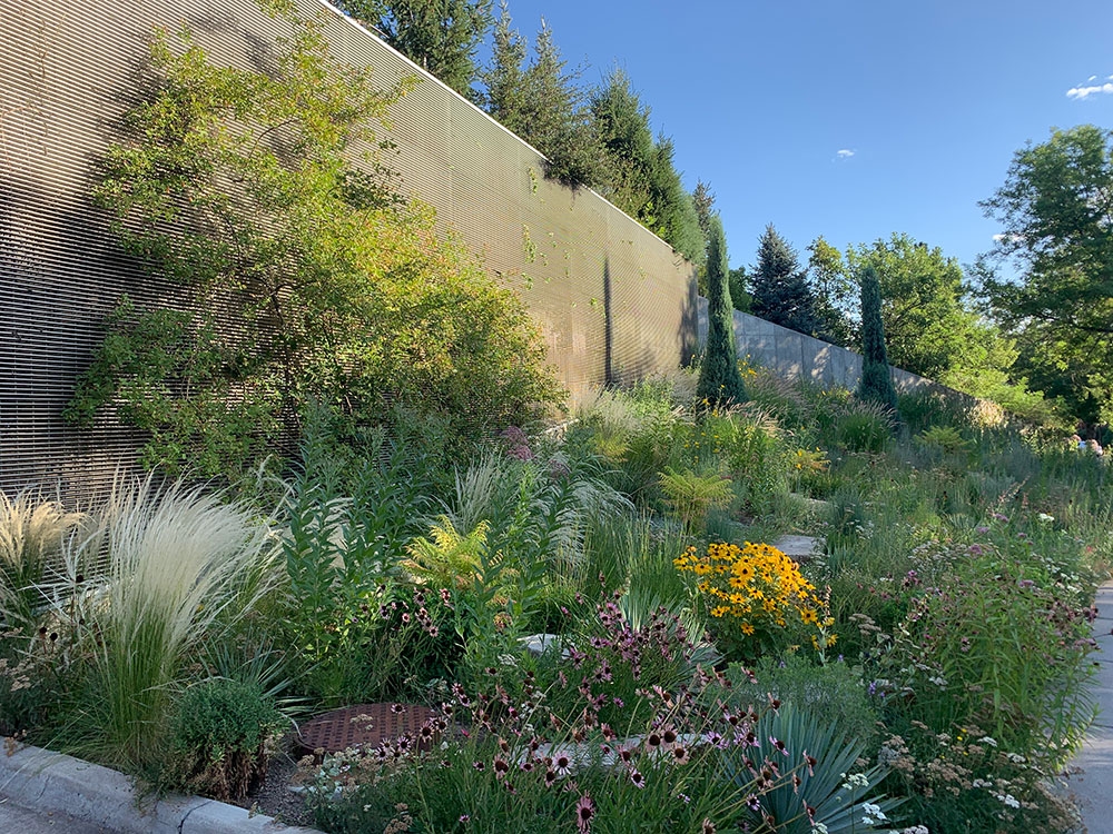 October Walking Tour - Fall Grasses of the Gardens’ Streetscapes ...