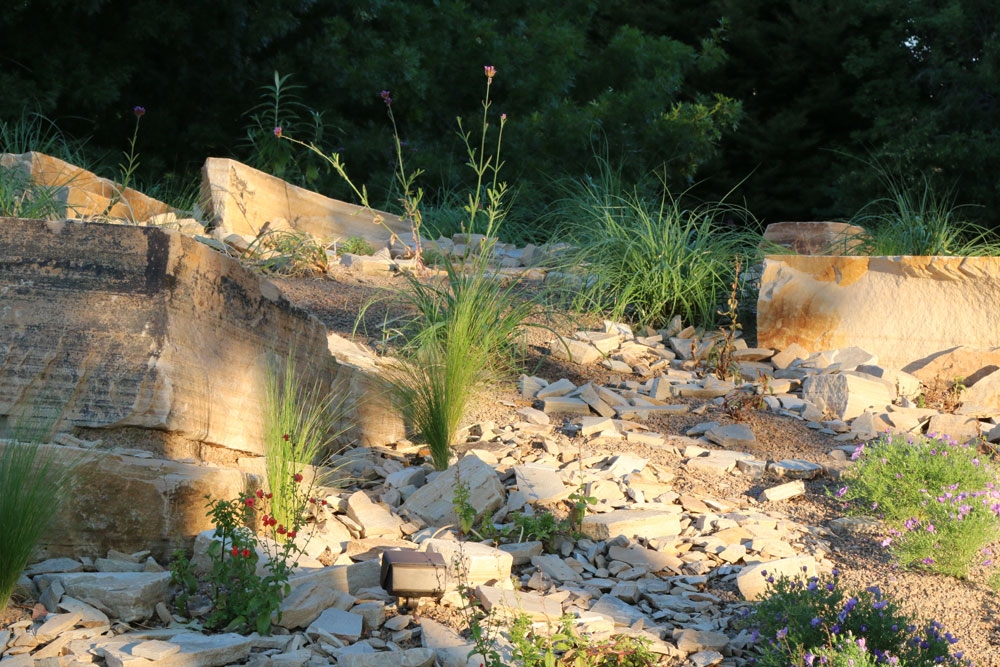 grasslands beginning to fill in