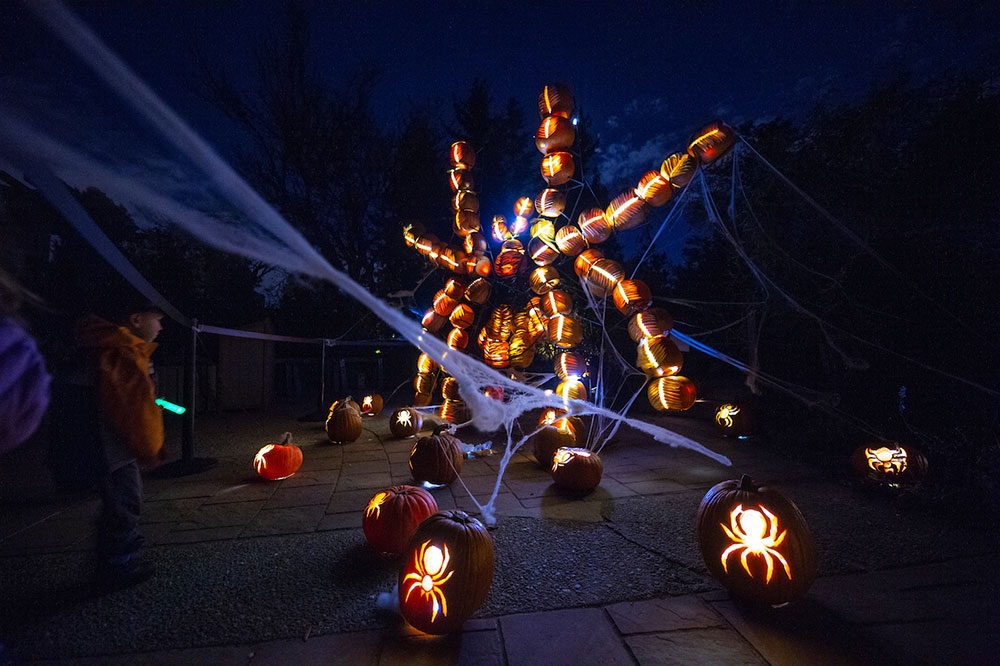 Glow at the Gardens Denver Botanic Gardens