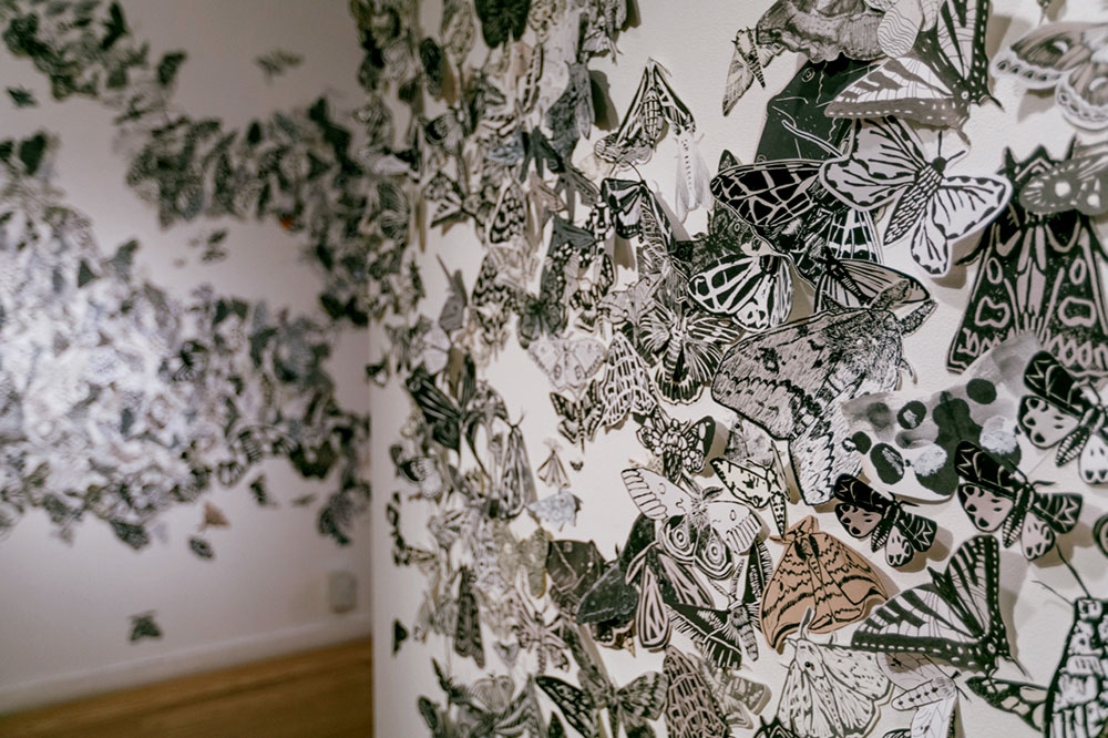 Hilary Lorenz, Moth Migration Project (detail), prints on cut paper, 2017. Installed at 516 ARTS, Albuquerque, NM. © Hilary Lorenz