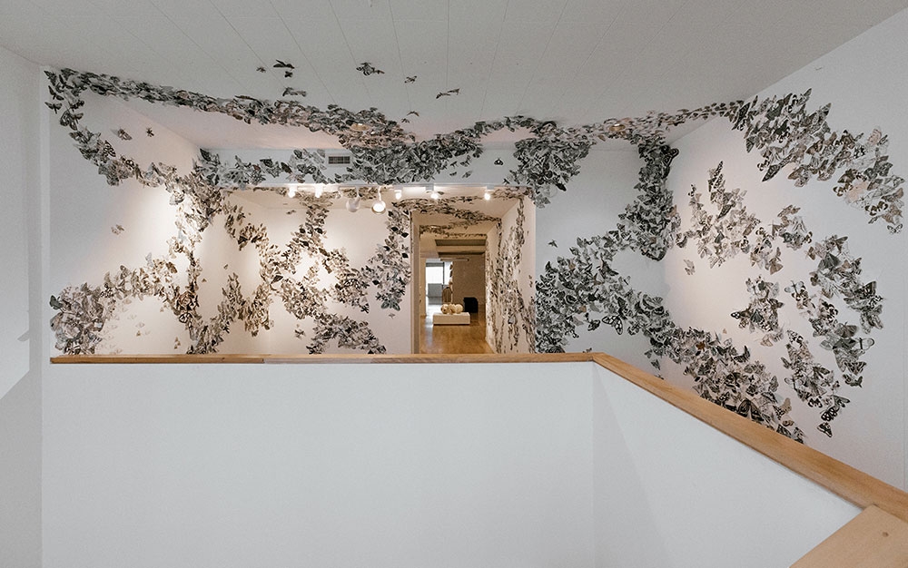 Hilary Lorenz, Moth Migration Project (detail), prints on cut paper, 2017. Installed at 516 ARTS, Albuquerque, NM. © Hilary Lorenz