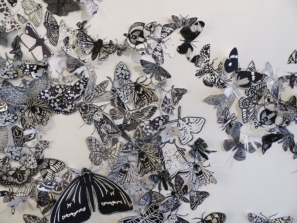 Hilary Lorenz, Moth Migration Project (detail), prints on cut paper, 2017. Installed at 516 ARTS, Albuquerque, NM. © Hilary Lorenz