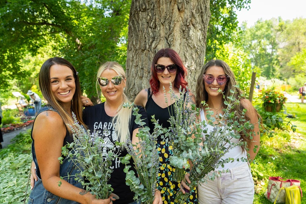 Lavender Festival Denver Botanic Gardens