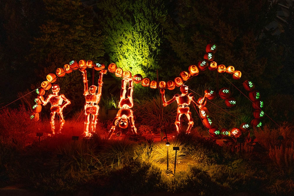 Glow at the Gardens Denver Botanic Gardens