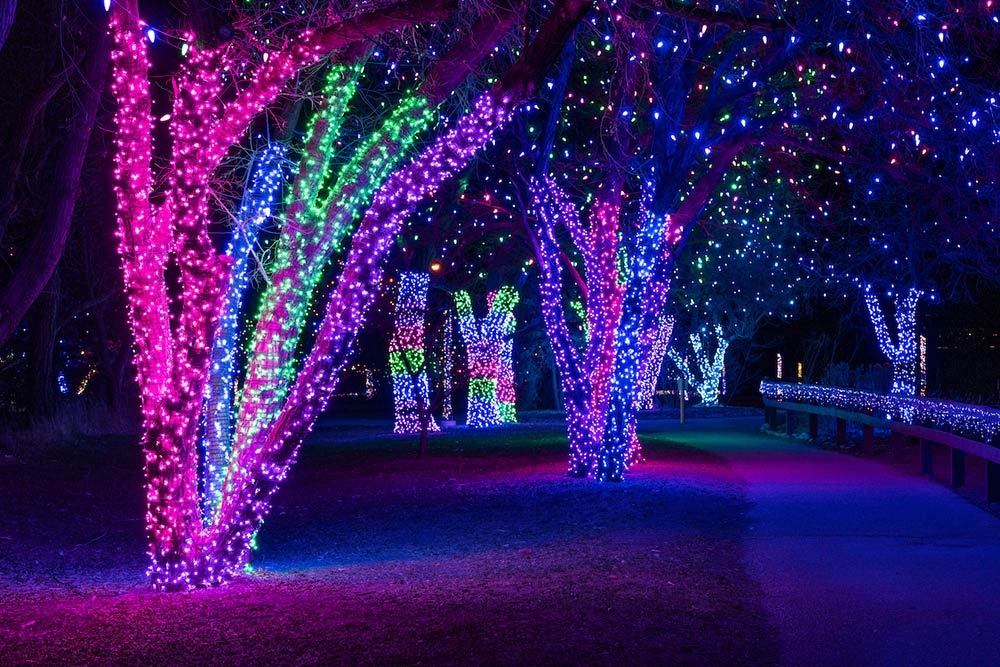 Trail of Lights | Denver Botanic Gardens