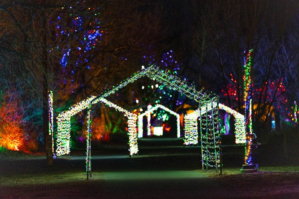 Trail of Lights Denver Botanic Gardens