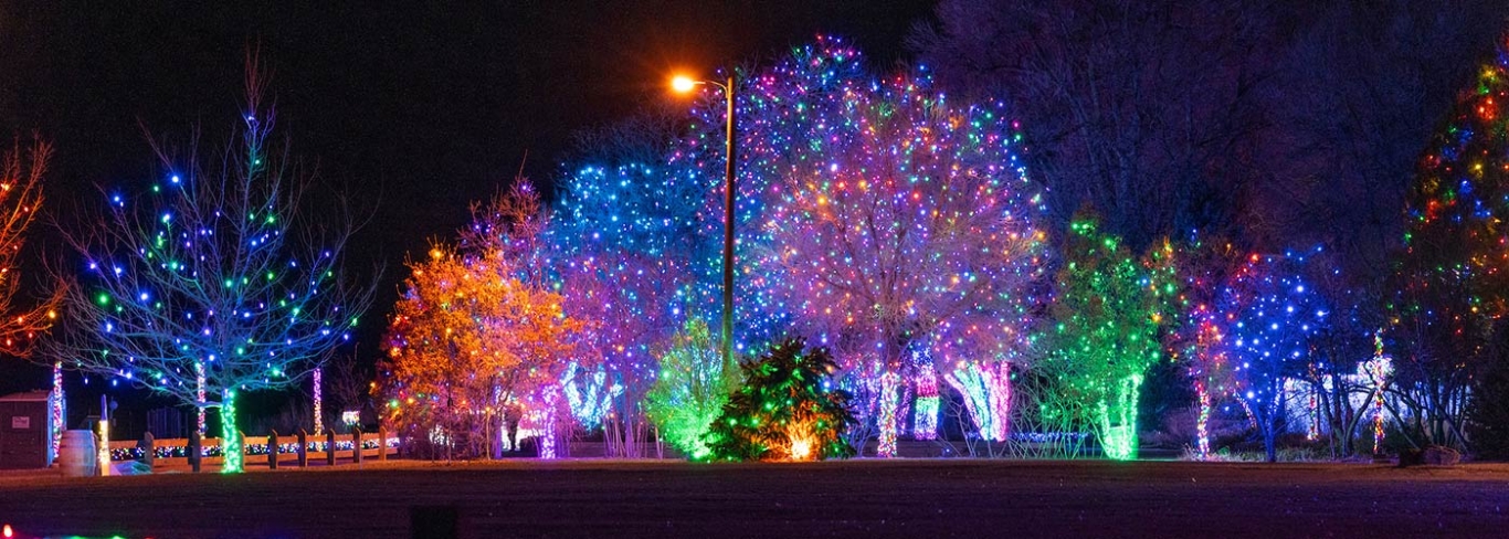 trails of lights near me