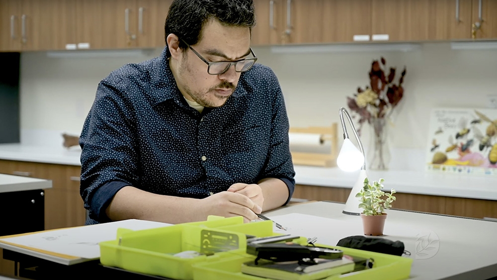 Nick Elias SBAI class