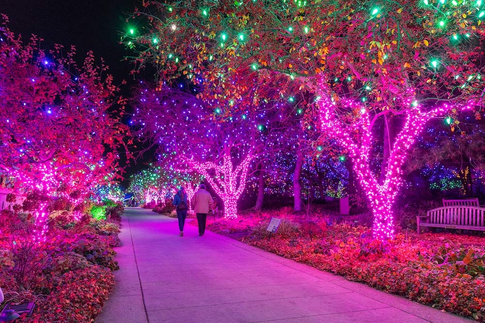 Blossoms of Light Denver Botanic Gardens