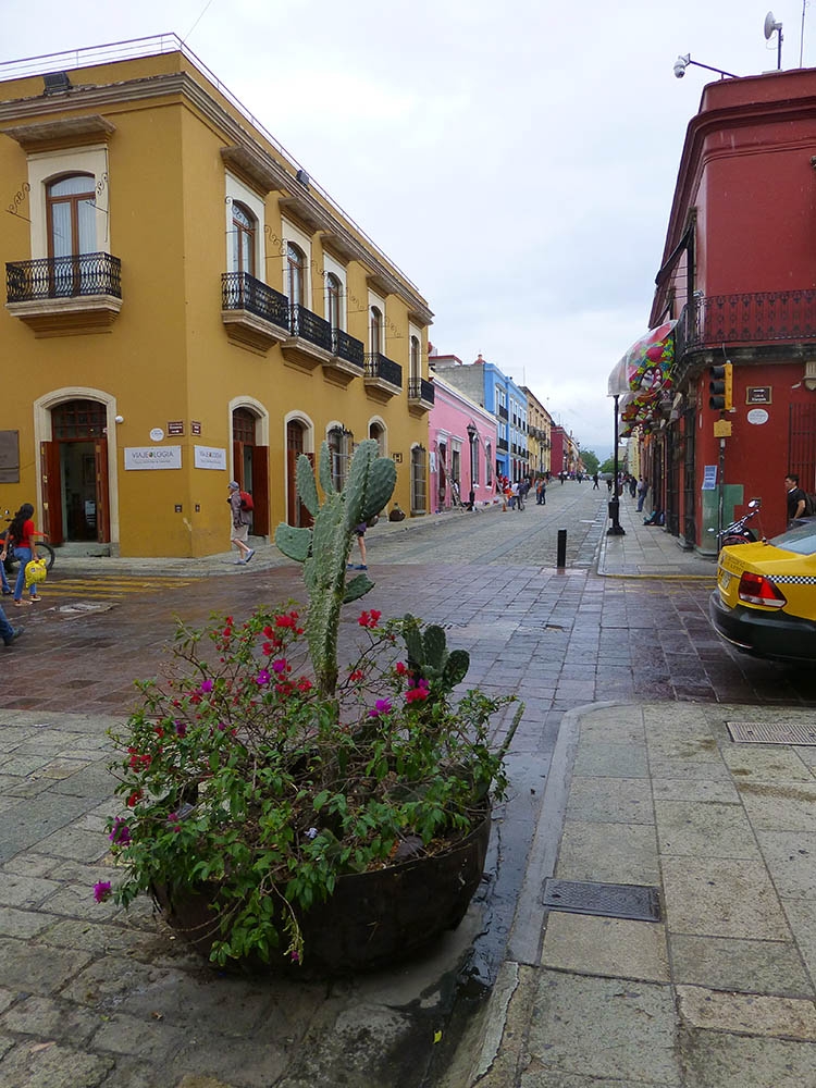 Colorful buildings in Oaxaca City