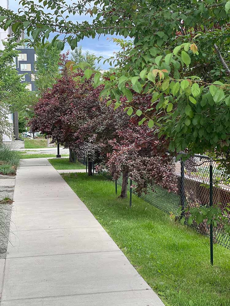 Mariposa Urban Farm entrance