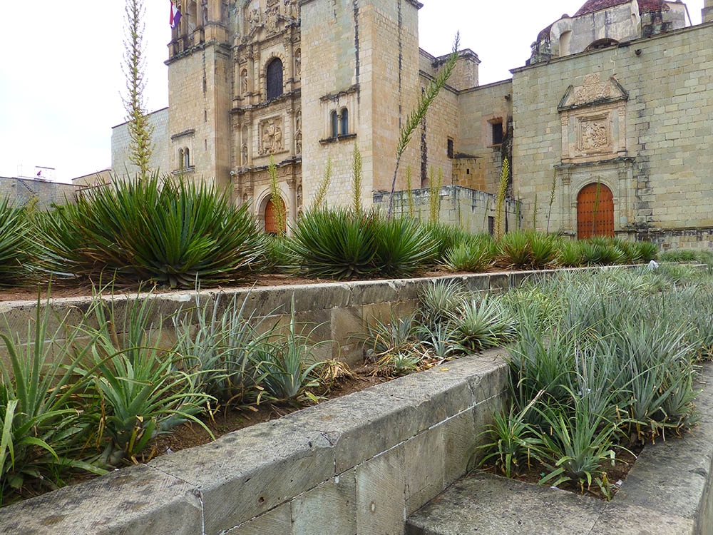 Santo Domingo de Guzman cathedral