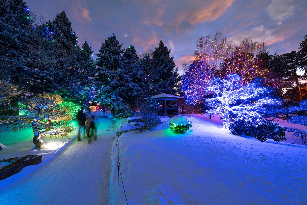 Top 5 Tips for the Best Blossoms of Light Experience | Denver Botanic ...