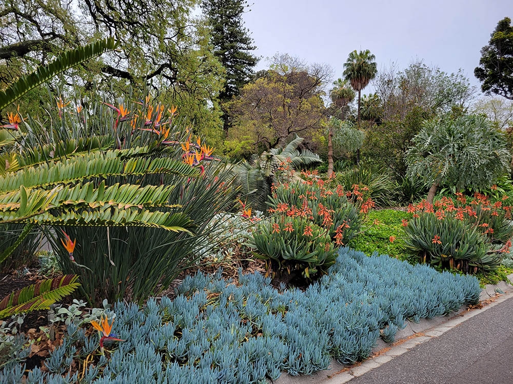 Royal Botanic Gardens Melbourne.