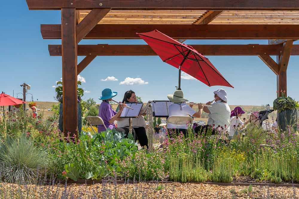 Lavender Festival Denver Botanic Gardens