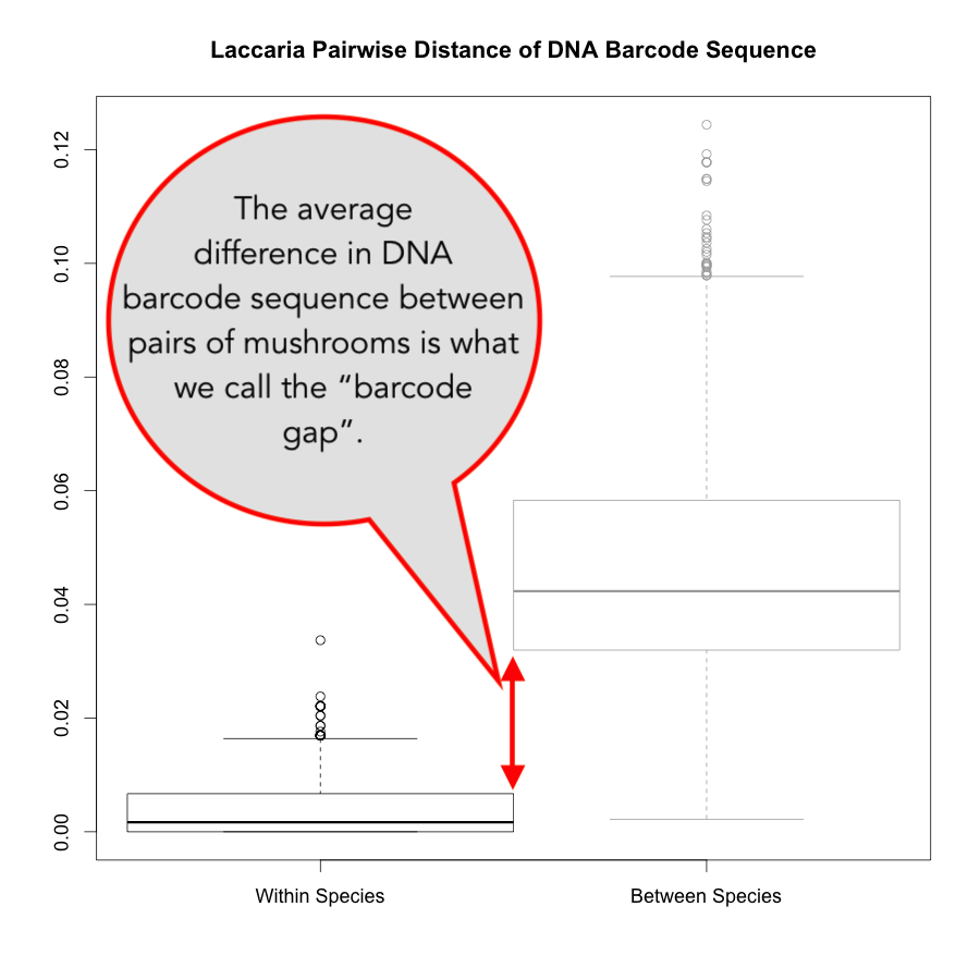 What Is DNA Barcoding? | Denver Botanic Gardens