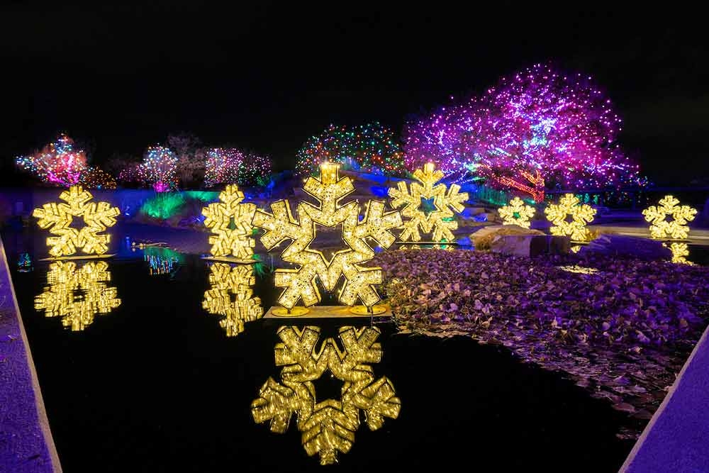 Blossoms of Light Denver Botanic Gardens